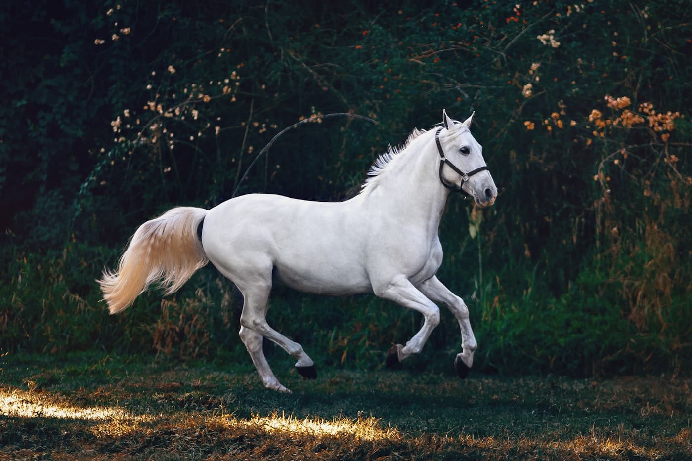 A woman connecting with a horse during an equine therapy retreat