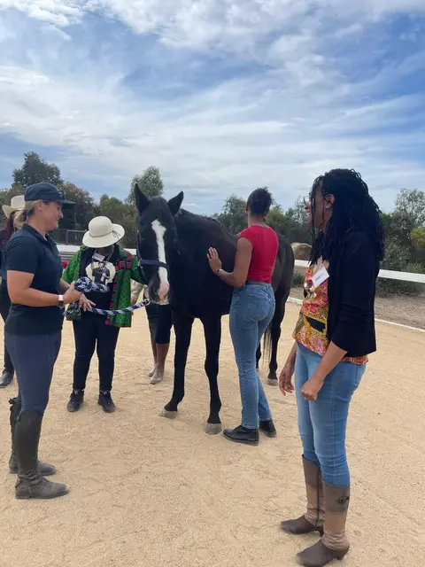 Equine therapy retreat