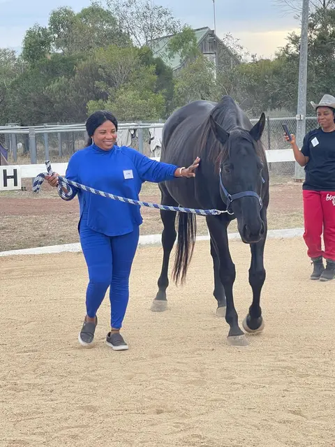 Equine therapy retreat