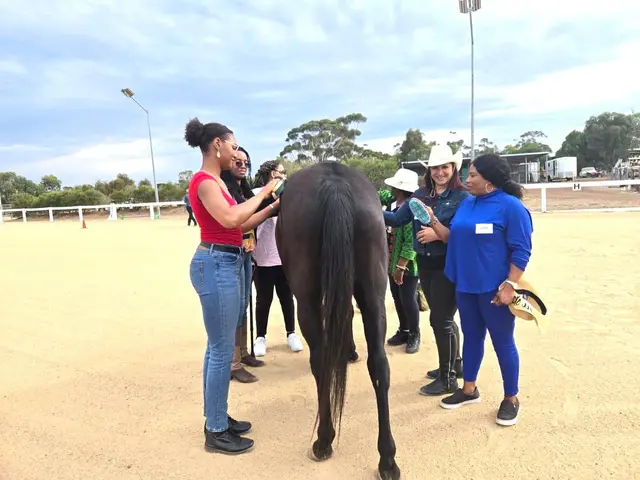 Equine therapy retreat