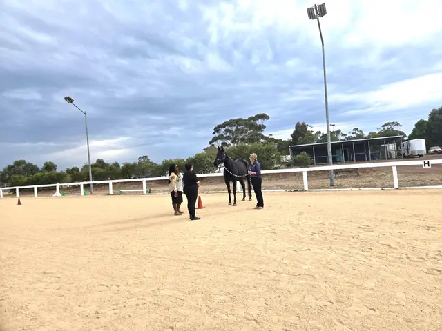 Equine therapy retreat