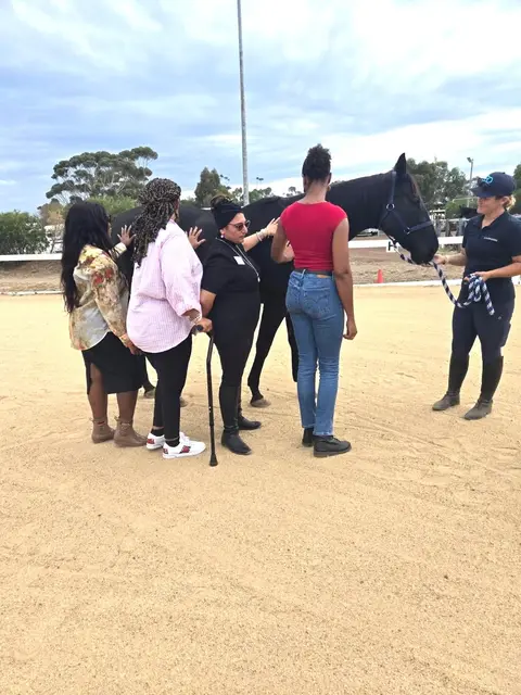 Equine therapy retreat