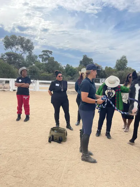 Equine therapy retreat