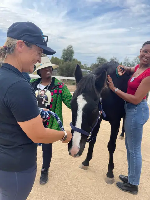 Equine therapy retreat