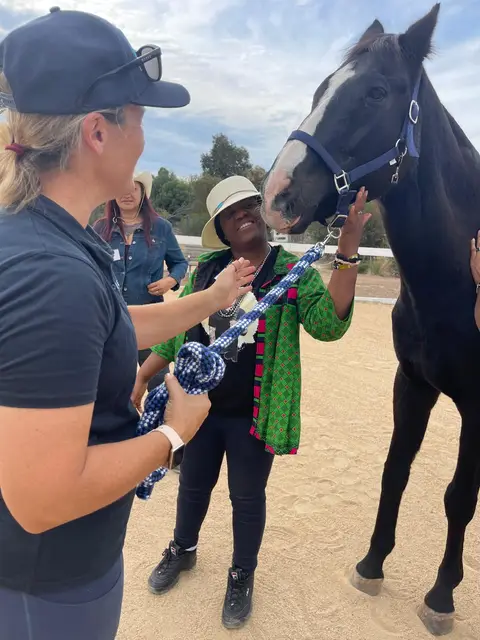 Equine therapy retreat