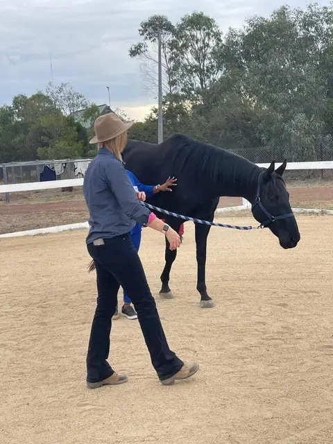 Equine therapy retreat