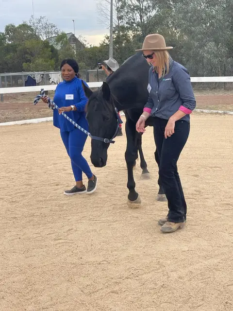Equine therapy retreat