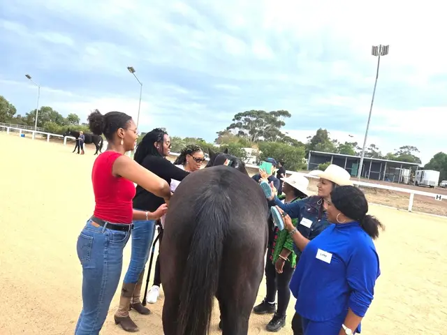 Equine therapy retreat