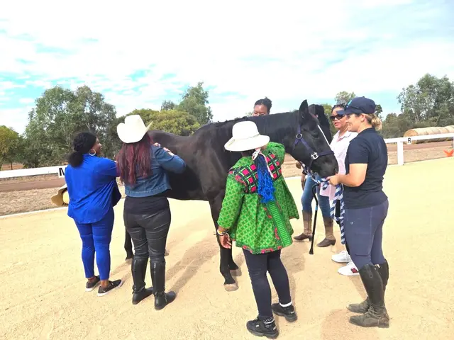 Equine therapy retreat
