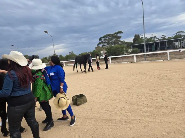 Equine therapy retreat