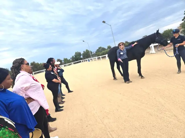 Equine therapy retreat