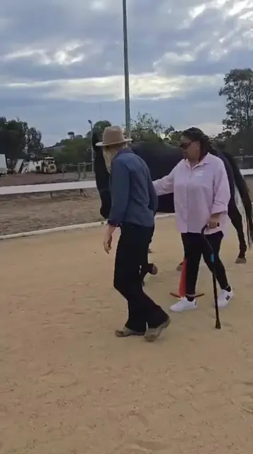 Meeting the horses